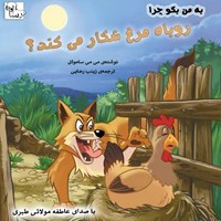 چرا روباه مرغ شکار می‌کند؟